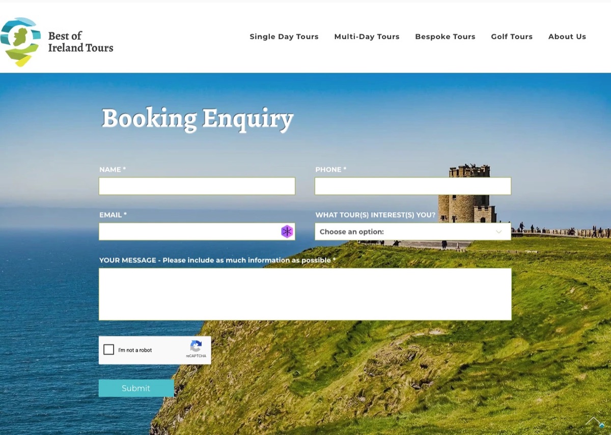 Website example: Enquiry form