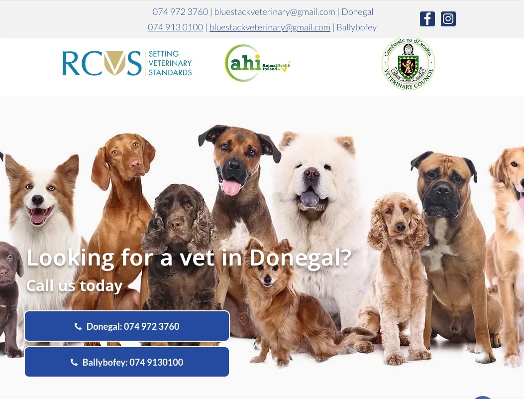 Website example: Phone