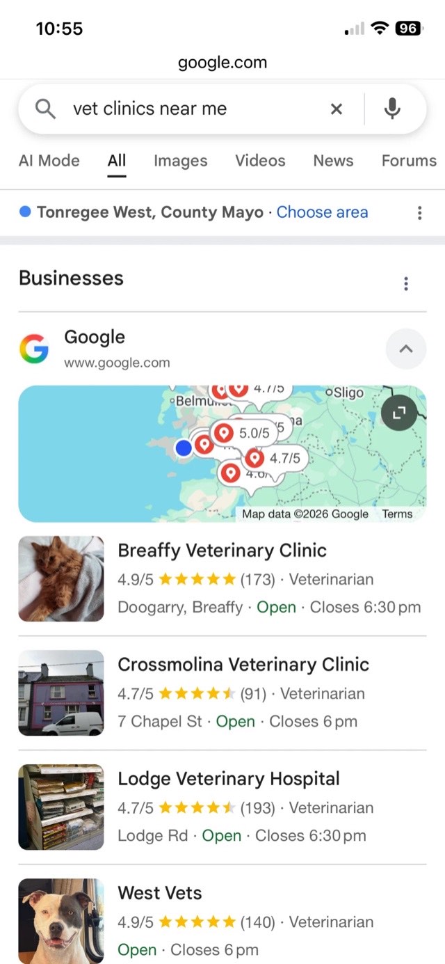 Google Maps: what a customer sees