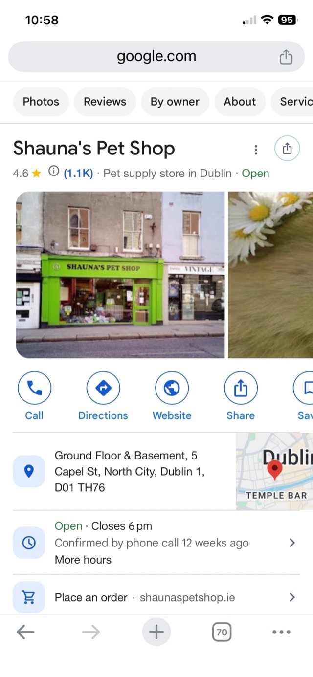 Search: what a customer sees